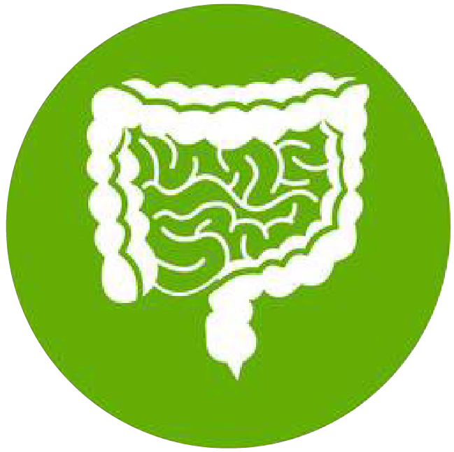 關(guān)注職場“腸”態(tài)，守護(hù)員工健康——上海格瑞特特邀消化內(nèi)科專家公益系列講座（4）(圖1)