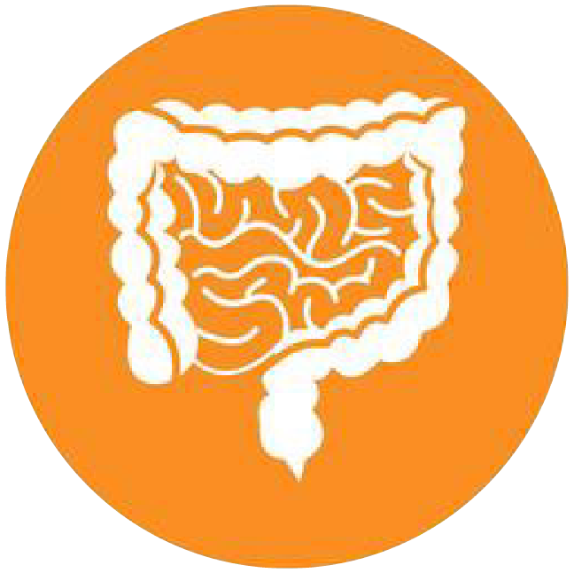 關(guān)注職場“腸”態(tài)，守護(hù)員工健康——上海格瑞特特邀消化內(nèi)科專家公益系列講座（4）(圖4)